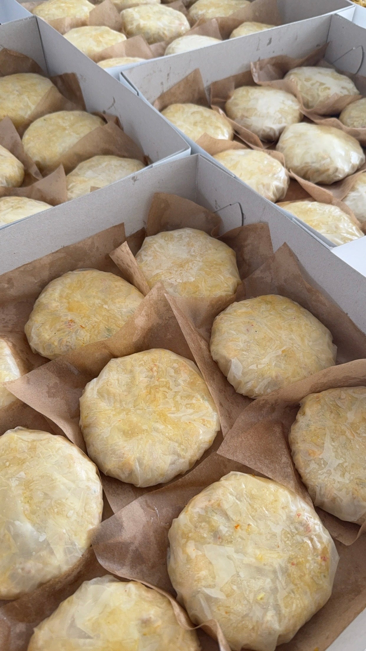 Bastilla met kip 5 stuks ongebakken